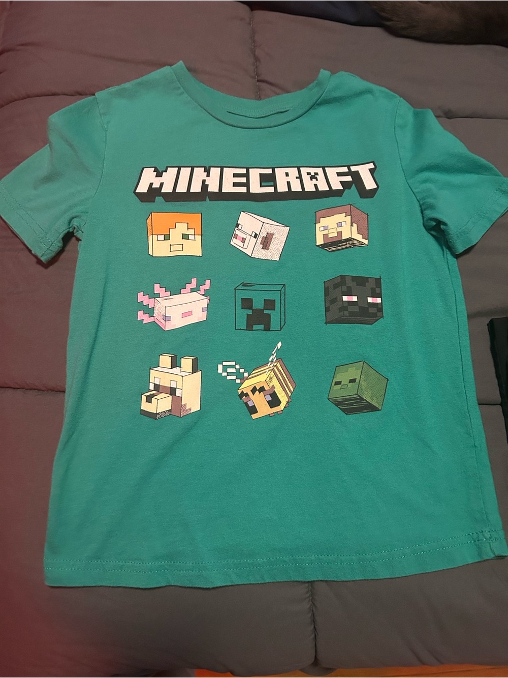 Minecraft Kids' Teal Short-Sleeve Graphic Tee